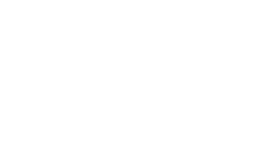 Lince